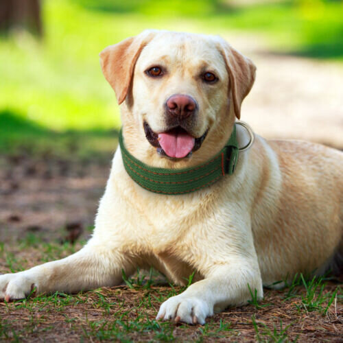 Фото из свободных источников