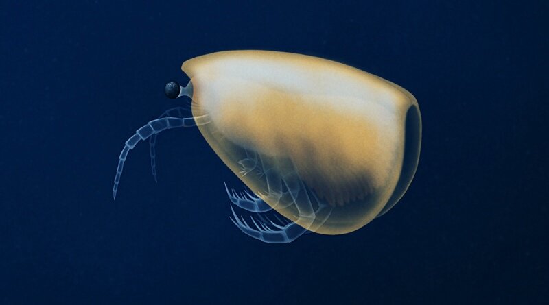 Силурийский Thylacares brandonensis из США.