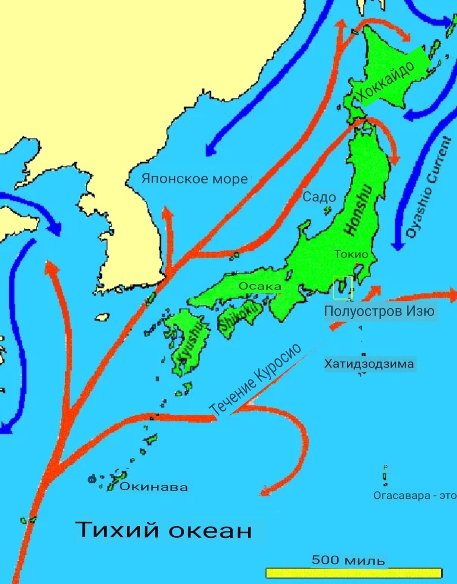 Теплое течение у восточных берегов. Куросио течение на карте. Пролив Куросио. Карта течений японского моря. Течение Куросио.