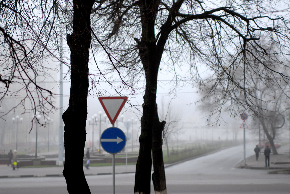 Фото Владимира Юрченко