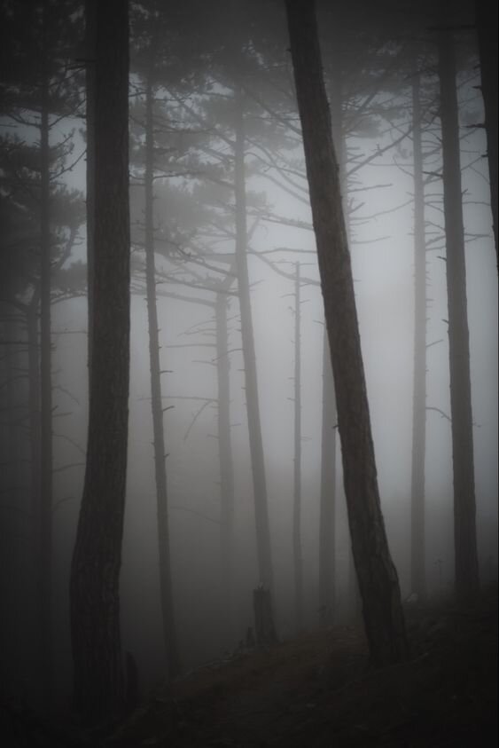 Источник: Pinterest 