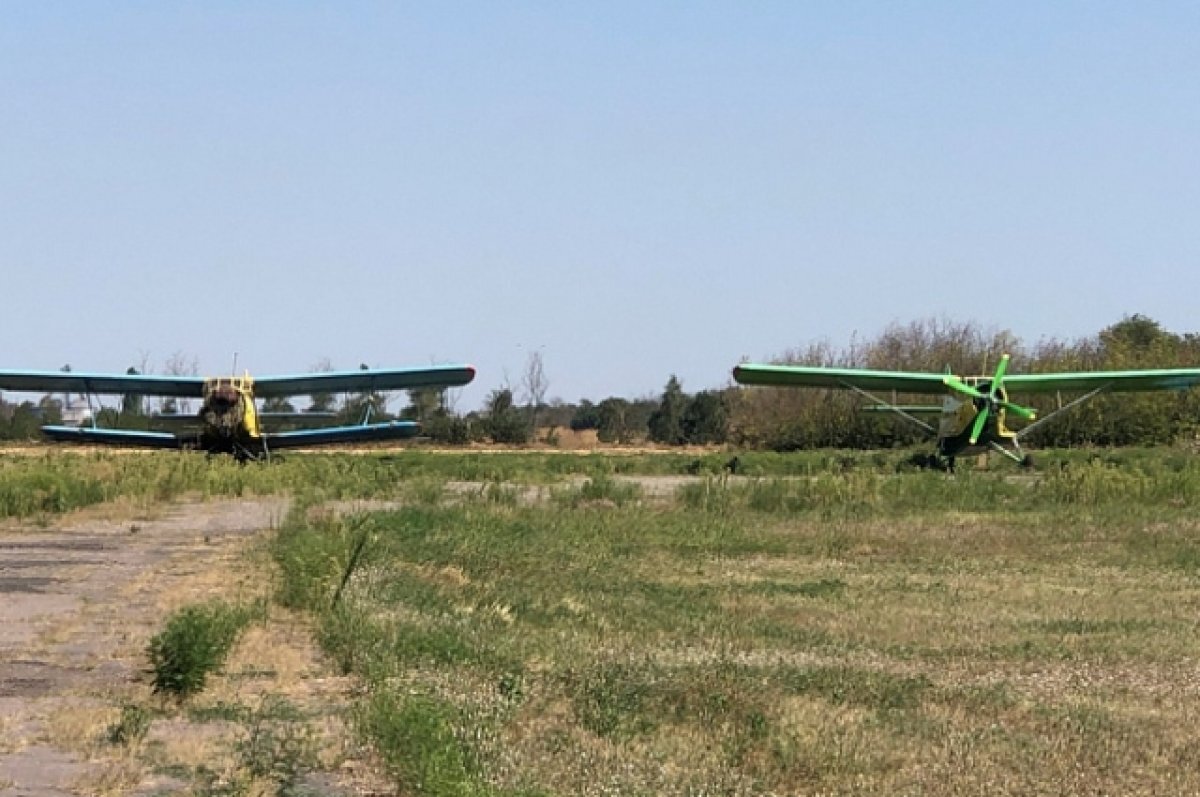    Авиастроительное предприятие в Ейске планирует выйти на экспорт