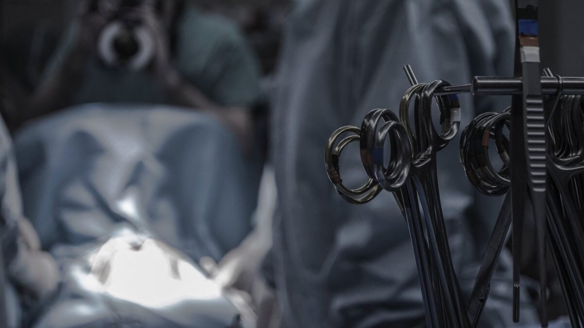    Фото: unsplash.com. Август Макаров