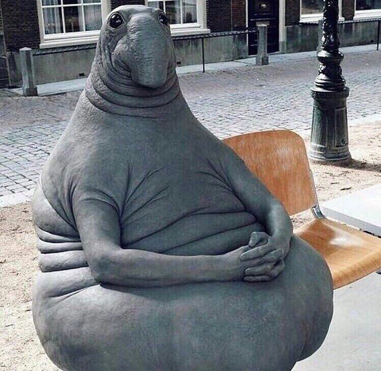 картинка из интернета