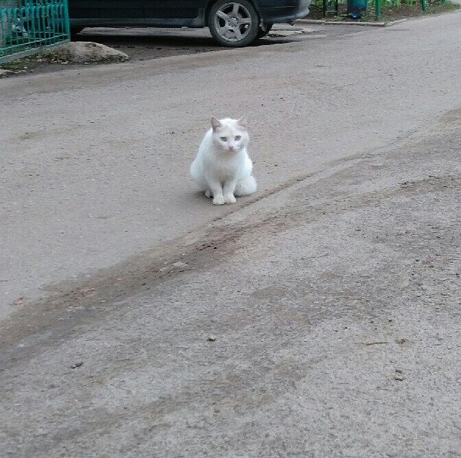 А может, она терпела до середины апреля)