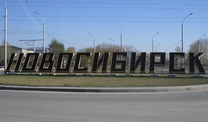 Фото с сайта https://yandex.ru/images