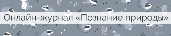 Онлайн-журнал "Познание природы" создан для публикации только качественных и интересных фактов об окружающем мире. Подписывайтесь, чтобы быть в курсе актуальных новостей и фактов из мира природы. 