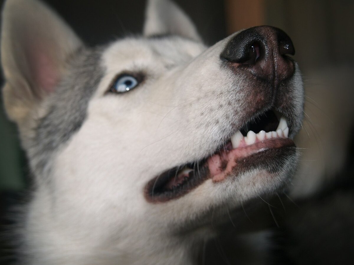 мама, я скучал))