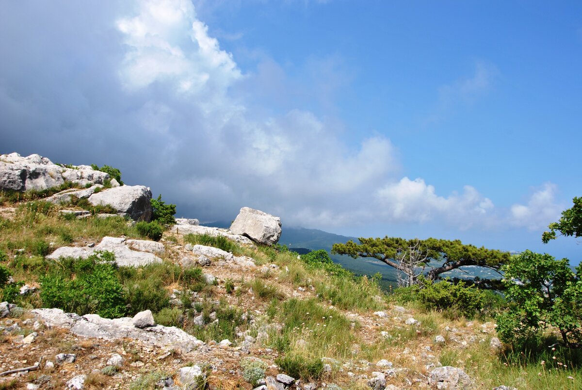 Алупка скала Лебединое крыло