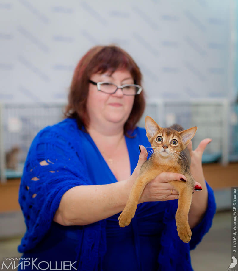 Оценка у эксперта международного класса.