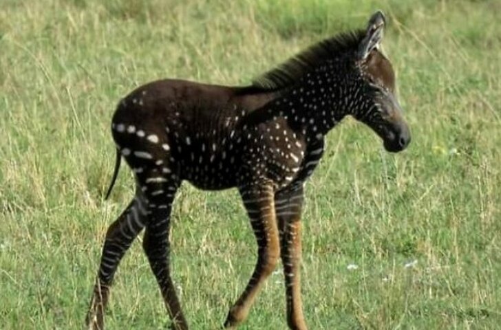 взято с сайта https://brightside.me