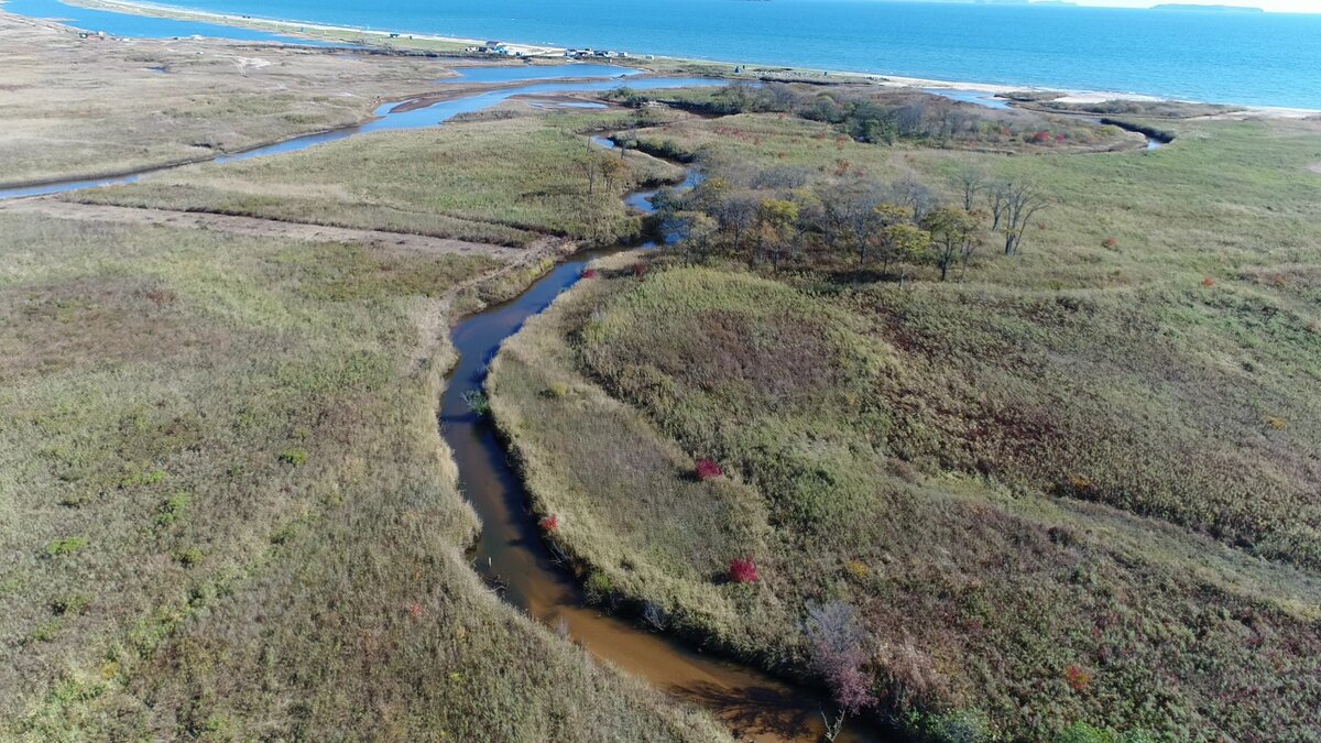 Один из участков на междуречье.