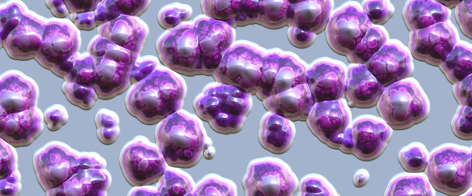 https://cdn.pixabay.com/photo/2016/10/03/13/53/banner-1711726_960_720.jpg