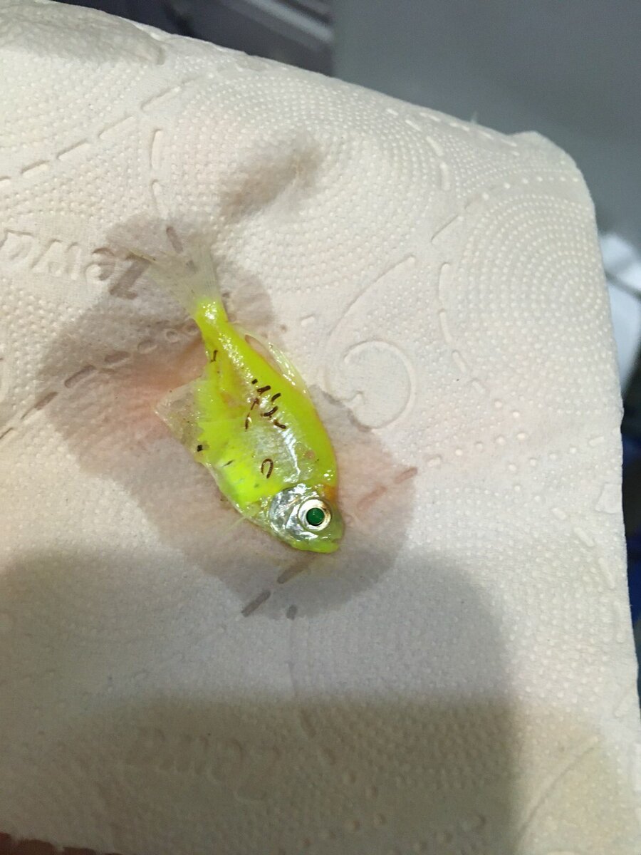 Личное фото.