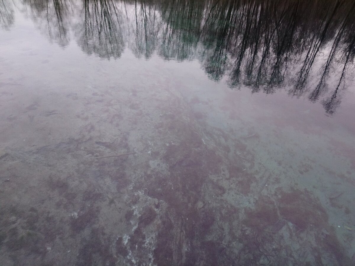Вода чистая, имеет голубой оттенок 