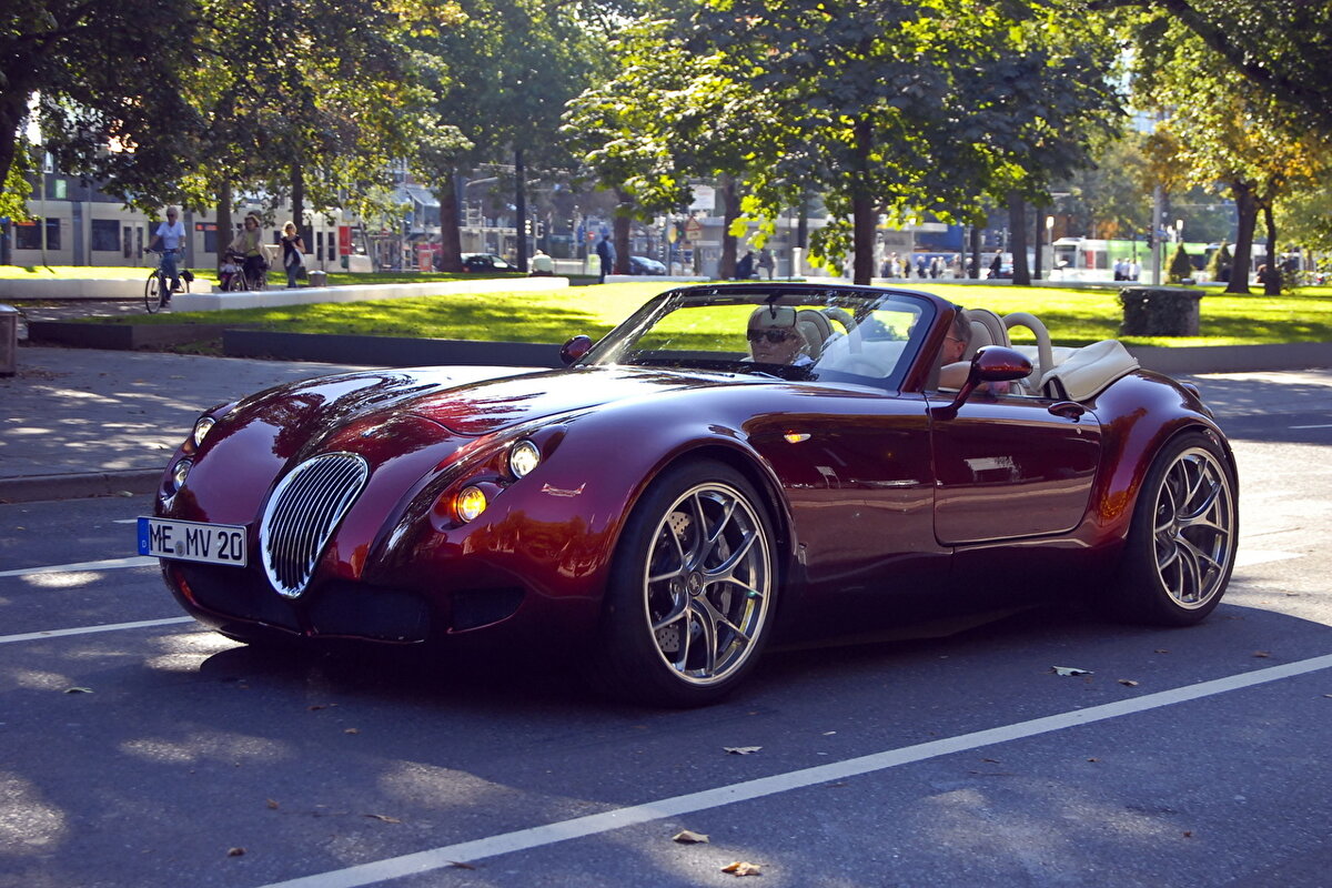 Ягуар машина Wiesmann g4