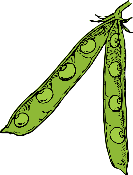  Источник: pixabay.com Пользователь: OpenClipart-Vectors