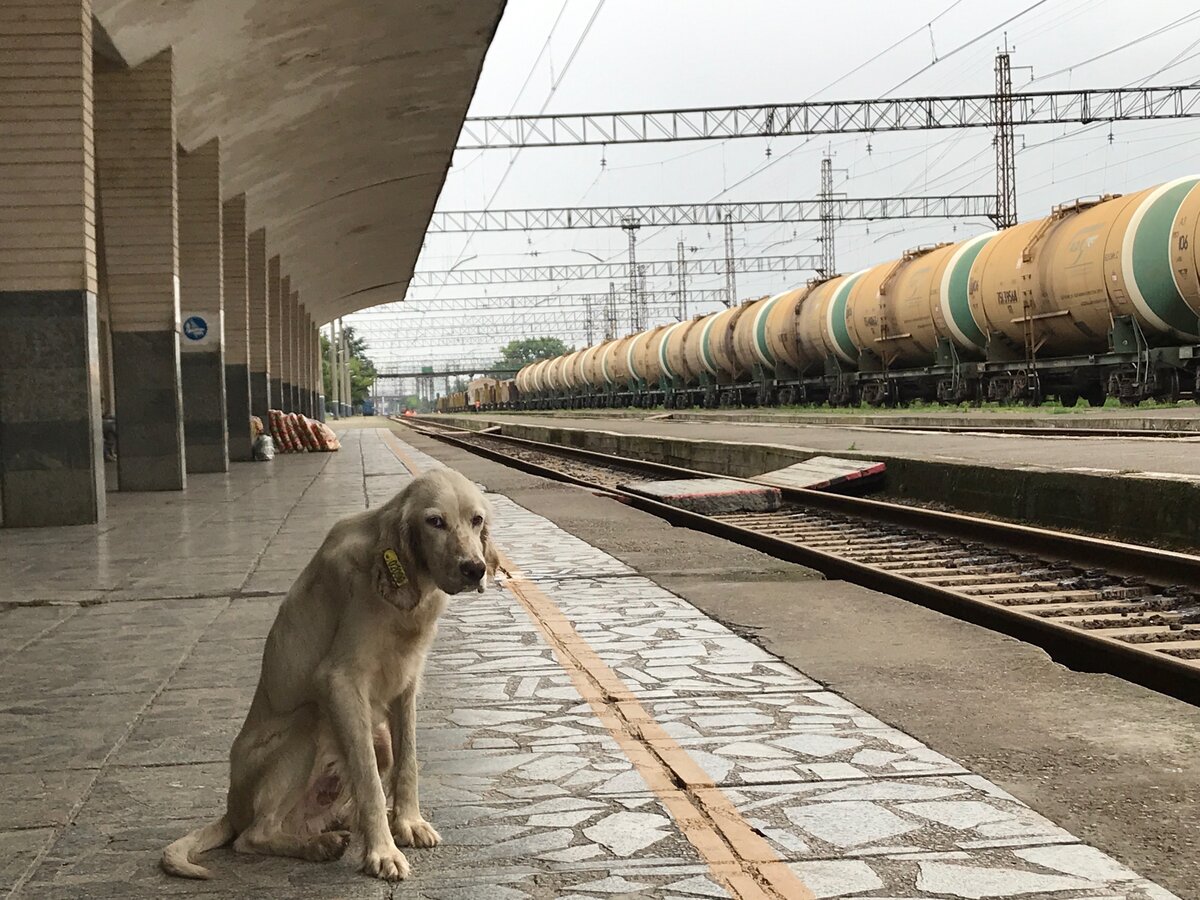 вокзал в батуми