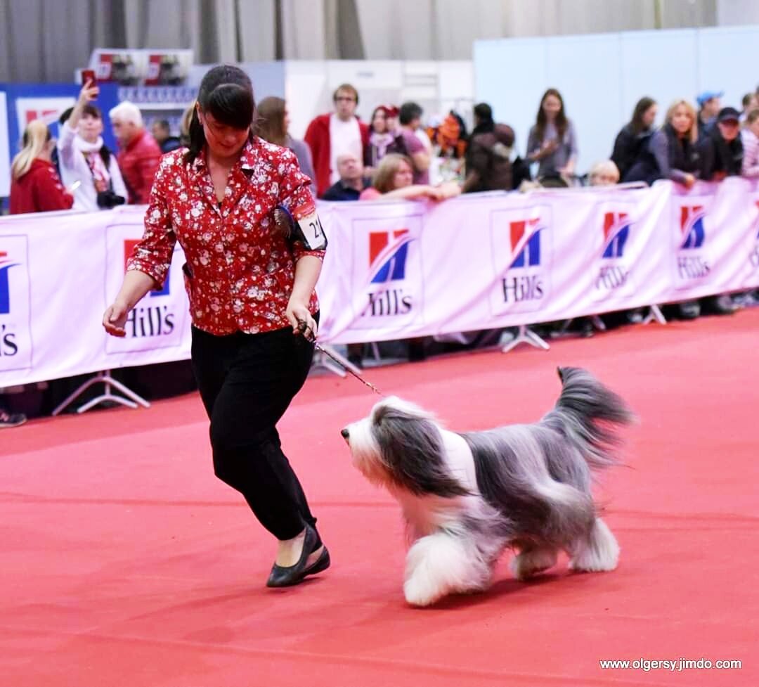 Фото моё, с Нижегородского CACIBа