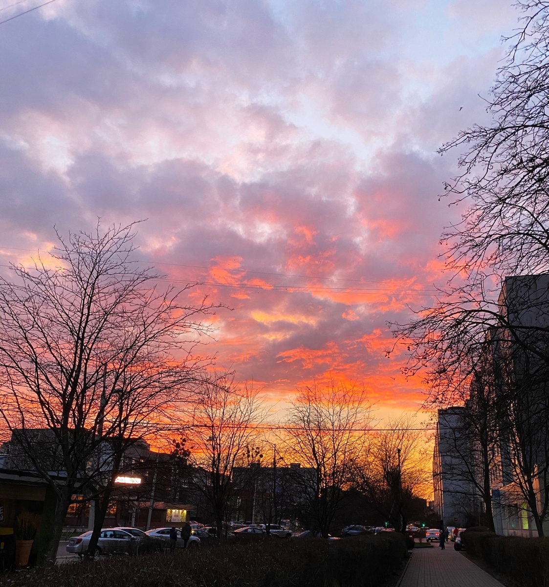 Розовый утренний рассвет