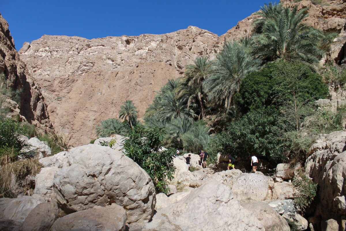 Кыргызстан оман прогноз. Wadi Tiwi Оман. Земля ладана Оман. Новый год в Омане. Остров Мезирах Оман.