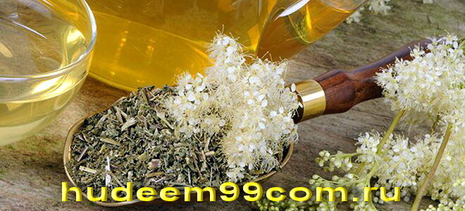 Чай из таволги (лабазника)