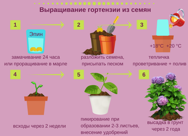 Администрация Исаклинского муниципального района