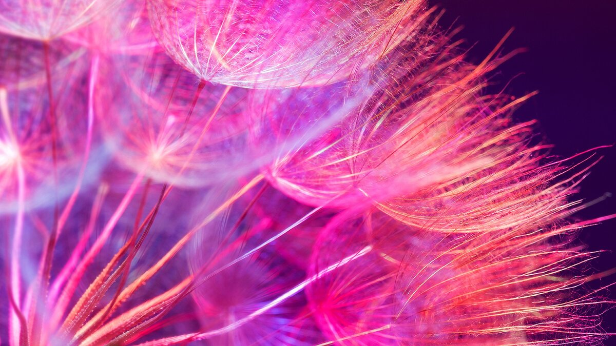 Здравствуйте мои дорогие!                                    Сегодня мы с Вами познакомимся с обрядами, которые делают на сахар. Этот известный каждому продукт с давних времен применяется в магических целях.                                                                             Удивительно, но с помощью сахара вы сможете создать гармонию практически в любой сфере жизни.                                        Очень эффективный заговор.                         НА ПРИВЛЕЧЕНИЕ ПОКУПАТЕЛЕЙ. :Выполнять его нужно, после заката солнца, в помещении где торгуете. Возьмите щепотку сахара правой рукой и прочитайте такие слова.                                       Как сахар сладок, так и жизнь моя.       слаще станет. Где брошу сахар,            туда и люди придут,                                             и деньги мне принесут.                                        И каждый день все больше и больше. Денежка к денежке тянется,                            и я счастливее стану. Аминь.                                 Заговор повторите три раза,                затем аккуратно посыпьте сахар по стенам и углам. Обряд уже начнет действовать на следующий день.              НА   ПРИТЯЖЕНИИ   УДАЧИ.                                  Это очень простой заговор на удачу и деньги. Чайной ложкой начните размешивать сахар.                                             по часовой стрелке и читайте :            Белый сахарный песочек,                              помоги же мне дружочек.                        Сделай слаще жизнь мою и                      защити мою семью. Аминь.                                      НА ПРИВЛЕЧЕНИЕ ДЕНЕГ.                                       Для проведения обряда, вам нужно подробно на листе бумаги написать своё желание, положить в белый конверт, вместе с ней положите купюру крупного номинала, и посыпьте туда щепотку сахара. Запечатайте конверт, читая заговор:                                                                 жизнь моя гладка, жизнь моя сладка.              В достатке я живу, все беды разорву.  Белый сахар-жизнь свободна и чиста, и живу в изобилии я! Да будет так. Аминь,!       Конверт держите всегда при себе, но не открывайте его до того момента, пока ваше желание не исполнится. Когда это произойдет, сожгите листок бумаги, а пепел развейте.                                               ЗАГОВОР НА ЛЮБОВЬ.                          Заговор на любовь не трудный и не опасный. Для обряда вам понадобится пять восковых свечей, красный кусок ткани, сахар рафинад, чтоб потом положить в пищу любимого человека. Застелите стол красной тканью, поставьте свечи в форме сердца, сахар высыпьте в блюдце, которое будет находится в середине сердца. Зажгите свечки, думая и представляя любимого прочтите:            Во имя Отца и Сына и Святого духа, на сахар приговариваю, любовь призываю. Пусть раб Божий (имя), сладости на губах ощутит и в любви к рабе Божьей (имя) поклянется. Как не сладок чаек без сахара, так пусть жизнь раба Божьего (имя) без рабы Божьей(имя) будет горька! Только тоска останется если отвернется от меня! Да будет так. Аминь.                                         Заговор читают три раза. Нужно дождаться, чтоб свечи прогорели. И сахар, на который вы наговаривали  постепенно добавляйте в еду. Заговор читают на растущую луну.                                                   Все заговоры с использованием сахара очень легки, и приносят свои результаты.    В следующих публикациях я продолжу эту тему. Желаю Вам исполнения всех желаний. Чтоб не терять связь - обязательно подписывайтесь. И конечно же делитесь ими в других социальных сетях. Спасибо огромное.! 