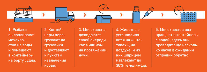 Инфографика: журнал «Популярная механика».