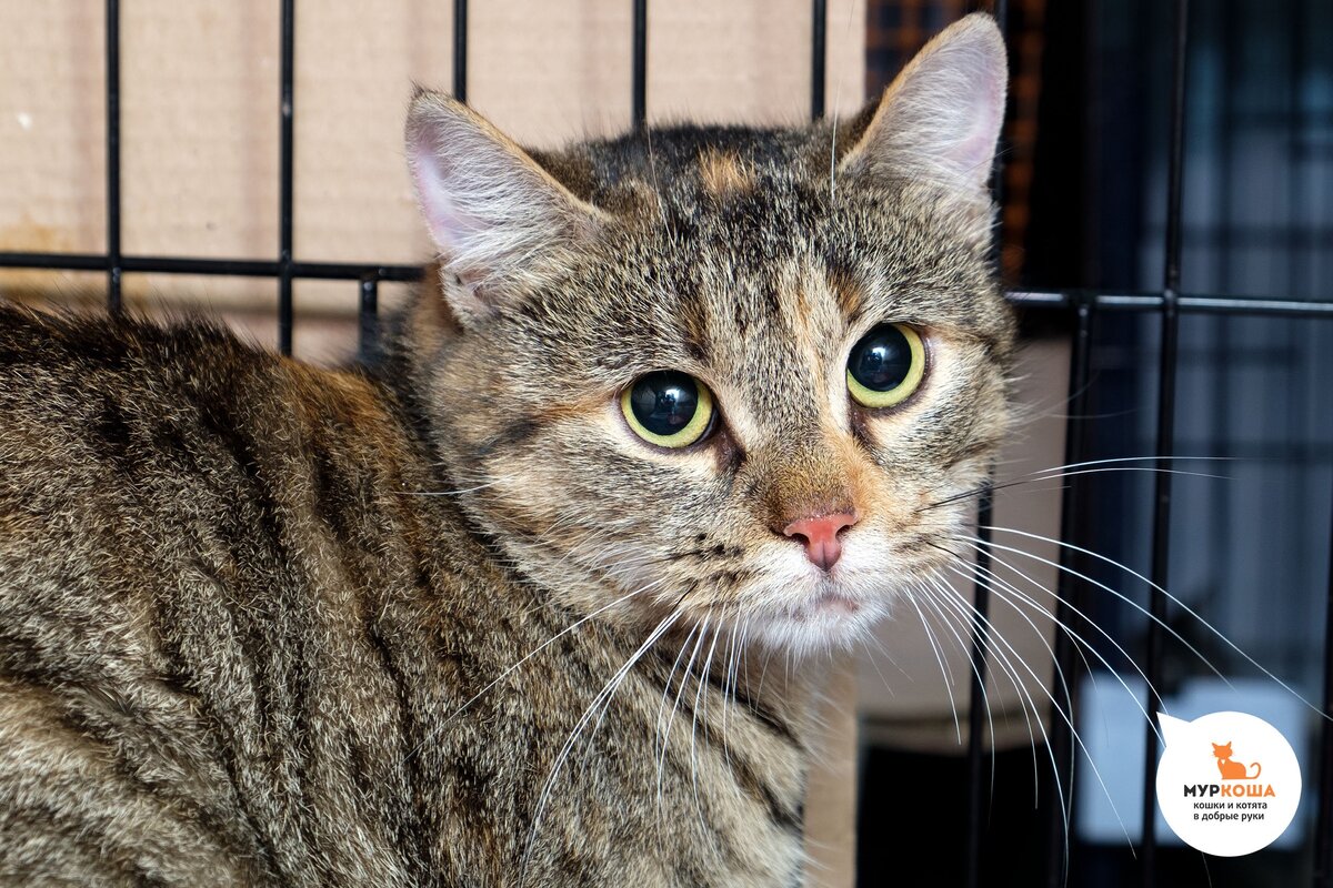 Пятнашка, 2 года