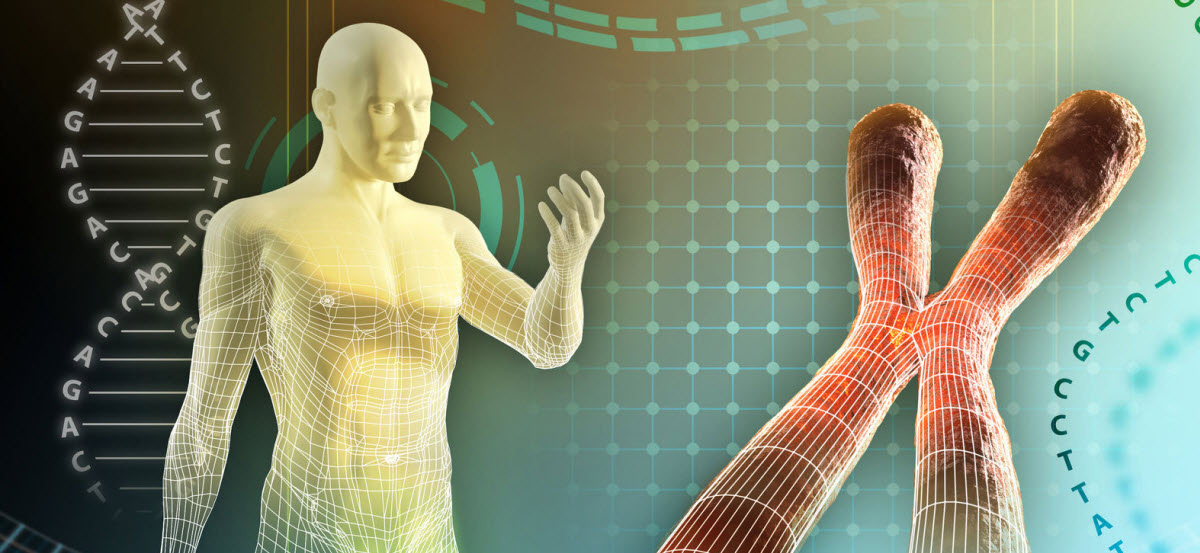 картинка из свободных источников ЯНДЕКС картинки