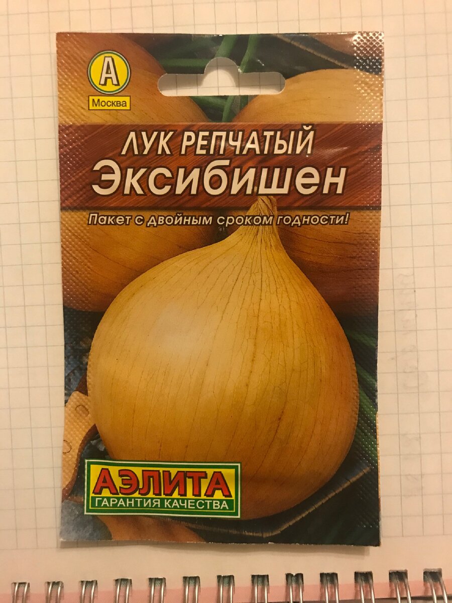 Лук чернушка картинка