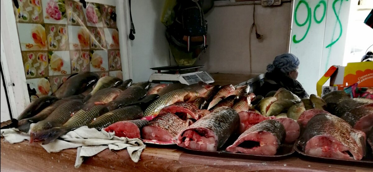 «Почему в речной рыбе косточек больше, чем в морской?» — Яндекс Кью