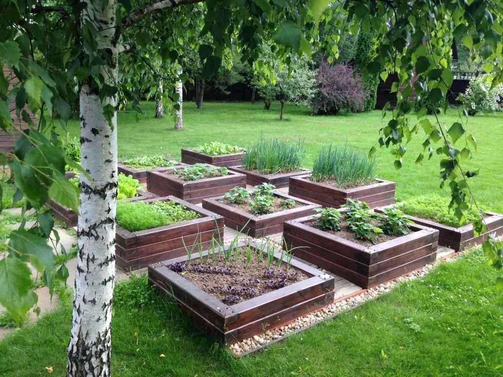 Фото с сайта fl-garden.ru