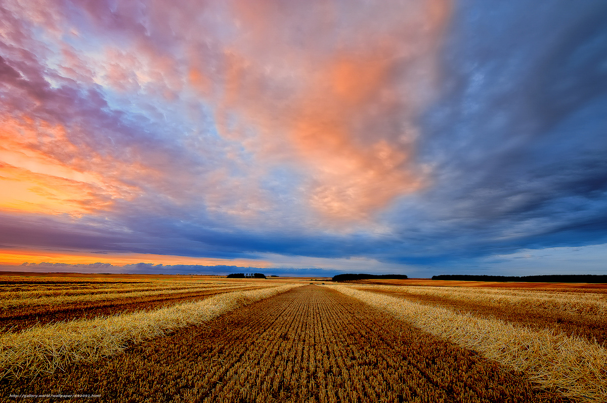 Из открытых источников.