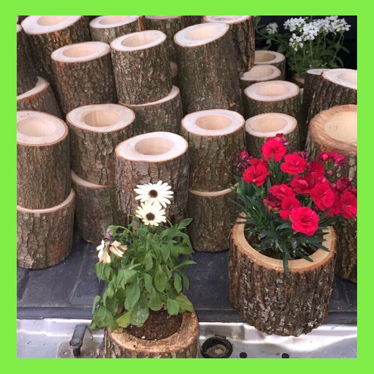 Фото из интернета 