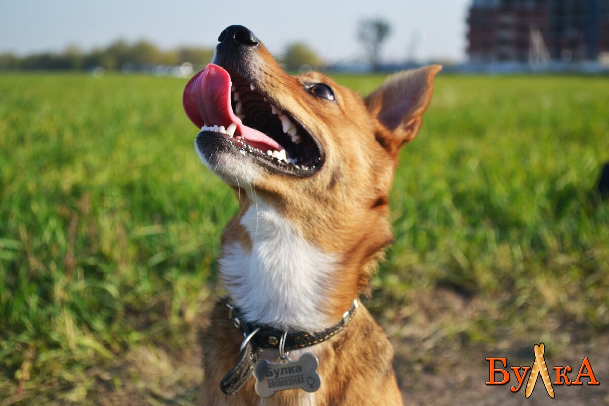 Вот так я выгляжу