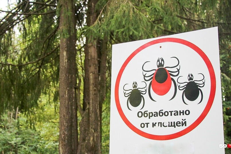 Фото: Тимофей Калмаков