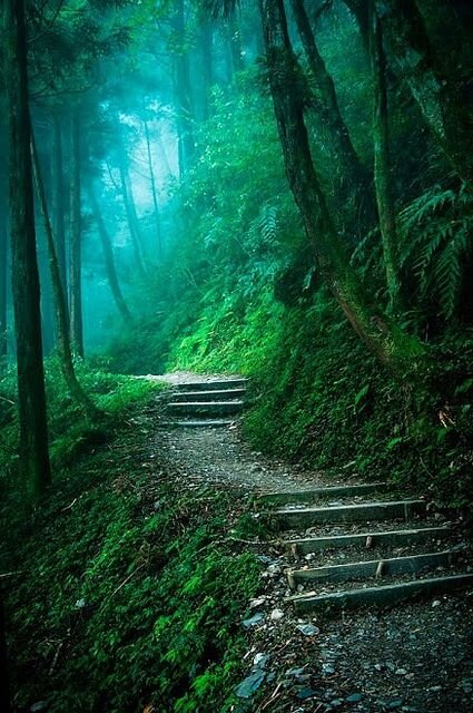https://www.pinterest.ru/pin/598838081674692354/