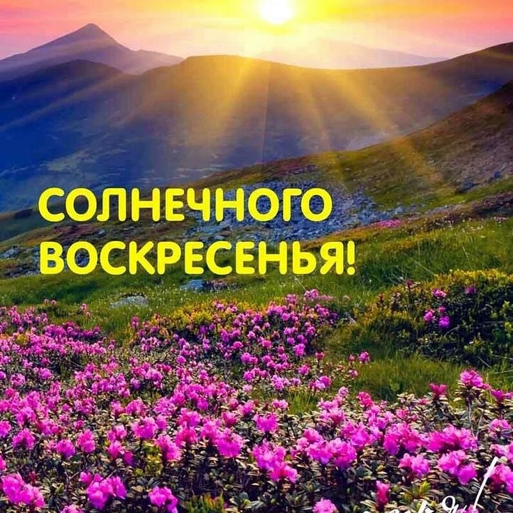 Природа притягивает взоры🤩