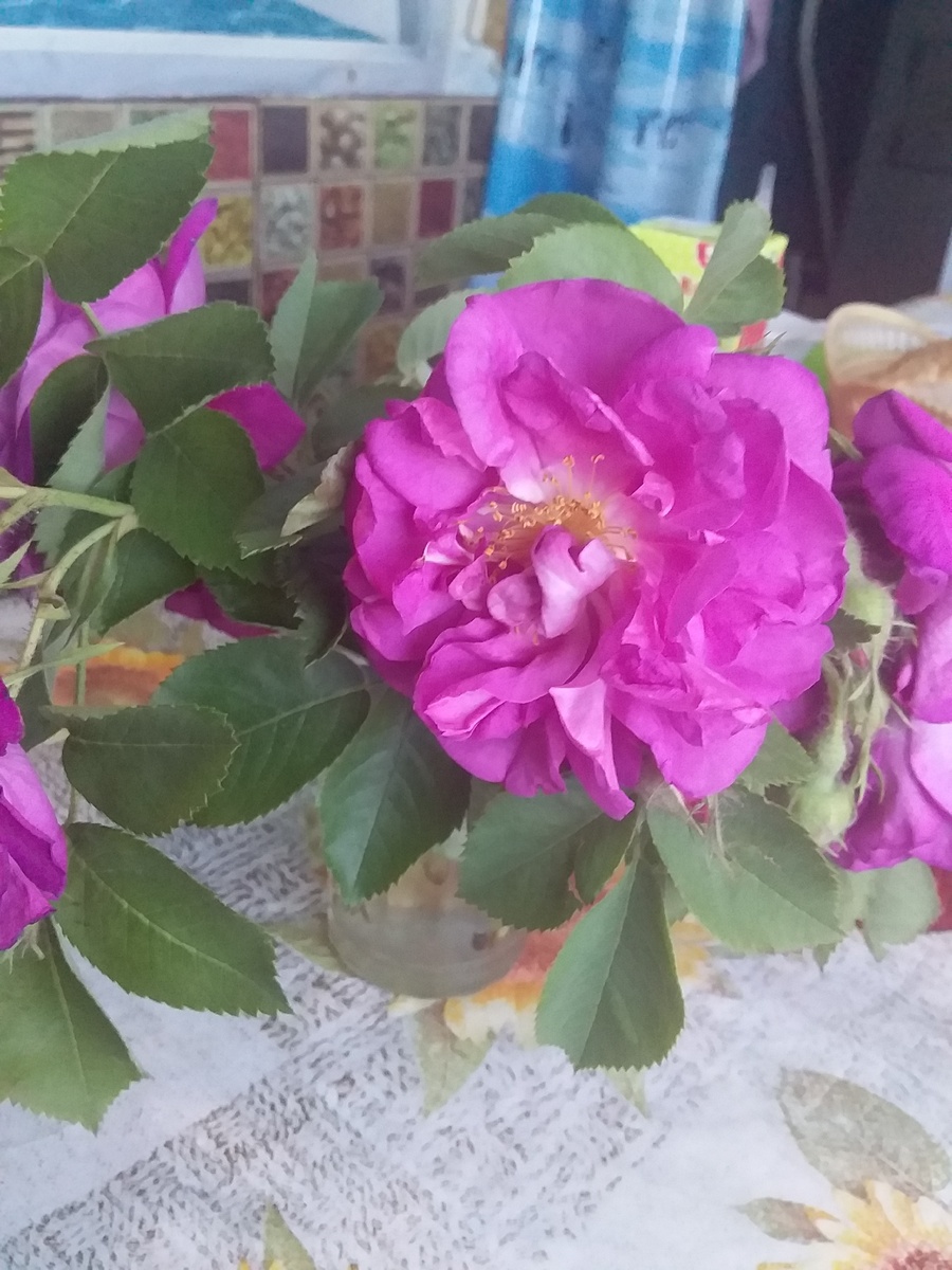 Фото автора.