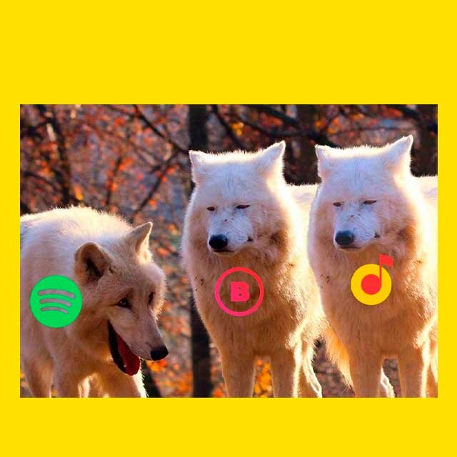 Волк всегда волку. Не тот волк кто в лес. Тот волк, кто волк.