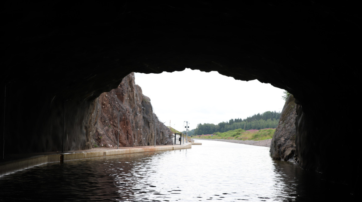 Фото:  Antro Valo / Yle 