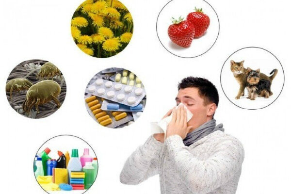 Источник: https://yandex.ru/images