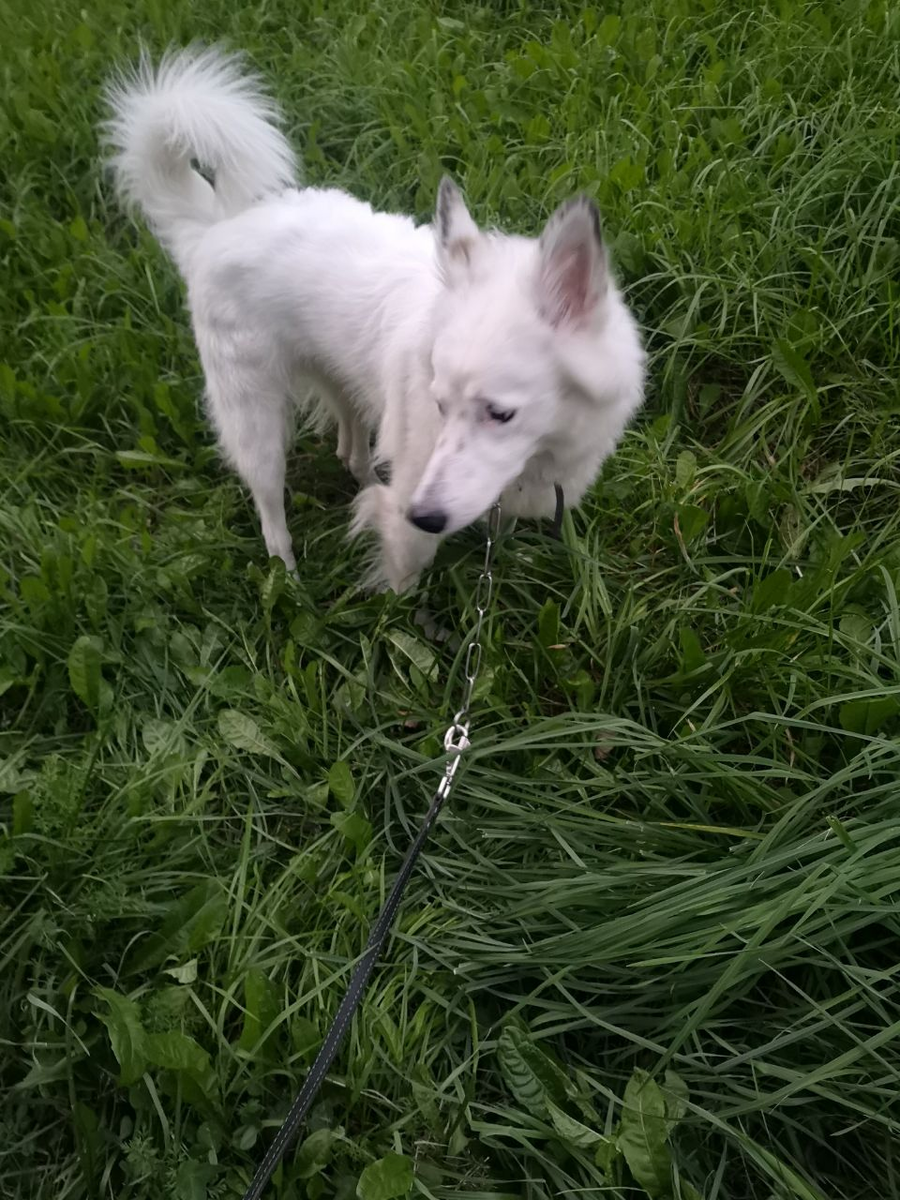 Сделал дело - гуляй смело!