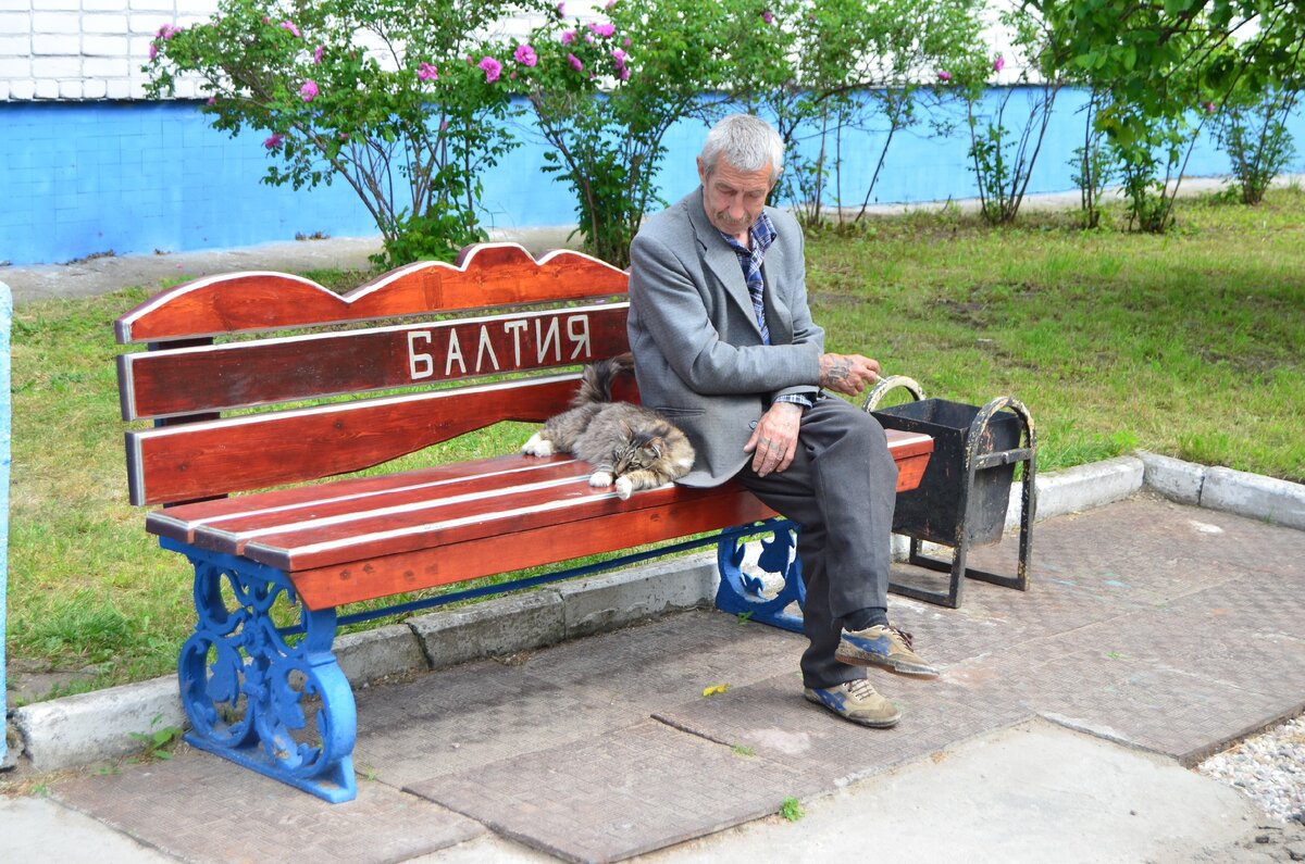 Фото автора.