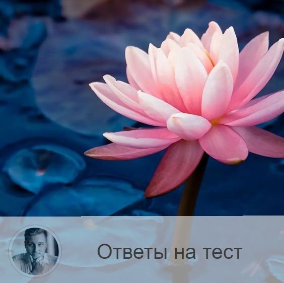 Подписывайтесь и ставьте 👍
🔵1: данная ситуация не входит в диапазон вашего воздействия, и вам придётся её просто принять. Это может ранить, но не нужно забывать, что всё происходящее в нашей жизни нужно для опыта, роста личности и счастья в будущем. Ваши возможности никто не отменял, и в последующем вы сможете продемонстрировать их и остаться в выигрыше. Выше нос, шире улыбку, и удача не заставит себя долго ждать! 
🔵2: оглянитесь назад - что у вас осталось незаконченным? Уверены ли вы, что вы ничего не оставили после себя не доведённым до ума? Может быть, есть люди, которых вы так и не простили? Исцелите себя, решив старые задачи. И идите вперёд с облегчением в душе: вам станет комфортно и свободно. Вы начнёте дышать полной грудью, и появится энтузиазм. Эмоциональное бремя – это хуже физического. Оно давит и мешает двигаться по жизни.

🔵3: не бывает всё идеальным. У каждого из нас в жизни происходили те или иные передряги: выход из отношений, предательство близкого человека или просто охлаждение в дружбе. Даже если вам тяжело, гоните от себя негативные мысли. Говорите себе: «Я отменяю этот разрушающий сценарий моей жизни». Представьте себе, что это всё происходит с кем-то другим и уж точно не с вами. Трудности в жизни – только подталкивают на духовный рост. Поэтому принимайте их с благодарностью.

🔵4: если вы стоите перед выбором, то сейчас – самое время поразмыслить. Подойдите со всей серьёзностью к вопросу. Придётся взвешивать все «за» и «против». Нет места импульсивности, должно быть спокойствие и хладнокровие. Вспомните, что вы имели в прошлом, ваш опыт, спроецируйте на своё будущее. Меньше сомнений, больше уверенности. Ваша жизнь – в ваших руках!

🔵5: сейчас – то время, когда вы должны взять жизнь в свои руки. Ни в коем случае не впадать в панику, помнить о самоконтроле. Сейчас неуместны какие-либо излишние эмоции. Ключевое слово для вас – контроль. Всё, что вам предстоит преодолеть, не разрушит вас, это не негатив в целом. Данная ситуация – толчок к самосовершенствованию на пути к вашему истинному «Я».

🔵6: если вы не удовлетворены своим положением в жизни (может быть, вы не достигли того, что планировали к этому моменту времени), не стоит разочаровываться и впадать в апатию. Вспомните об уроках жизни, о том пути, который пришлось преодолеть, о тех людях, которые встречались вам и запали вам в душу, и подумайте о том, что в жизни ничего не бывает просто так. Из всего вы должны извлекать пользу. И за абсолютно всё благодарить. Вы проснулись с утра – уже благодарность за новый день, за возможность что-то поменять в лучшую сторону, за возможность вырасти над собой. Позвольте своей жизни поменяться – при помощи благодарности.

—————
Ещё больше тестов:
https://numeromagic.ru/testy/