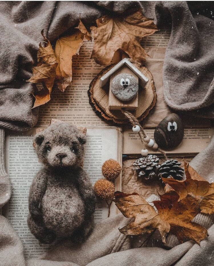 Фото от Евгении Мейеровой