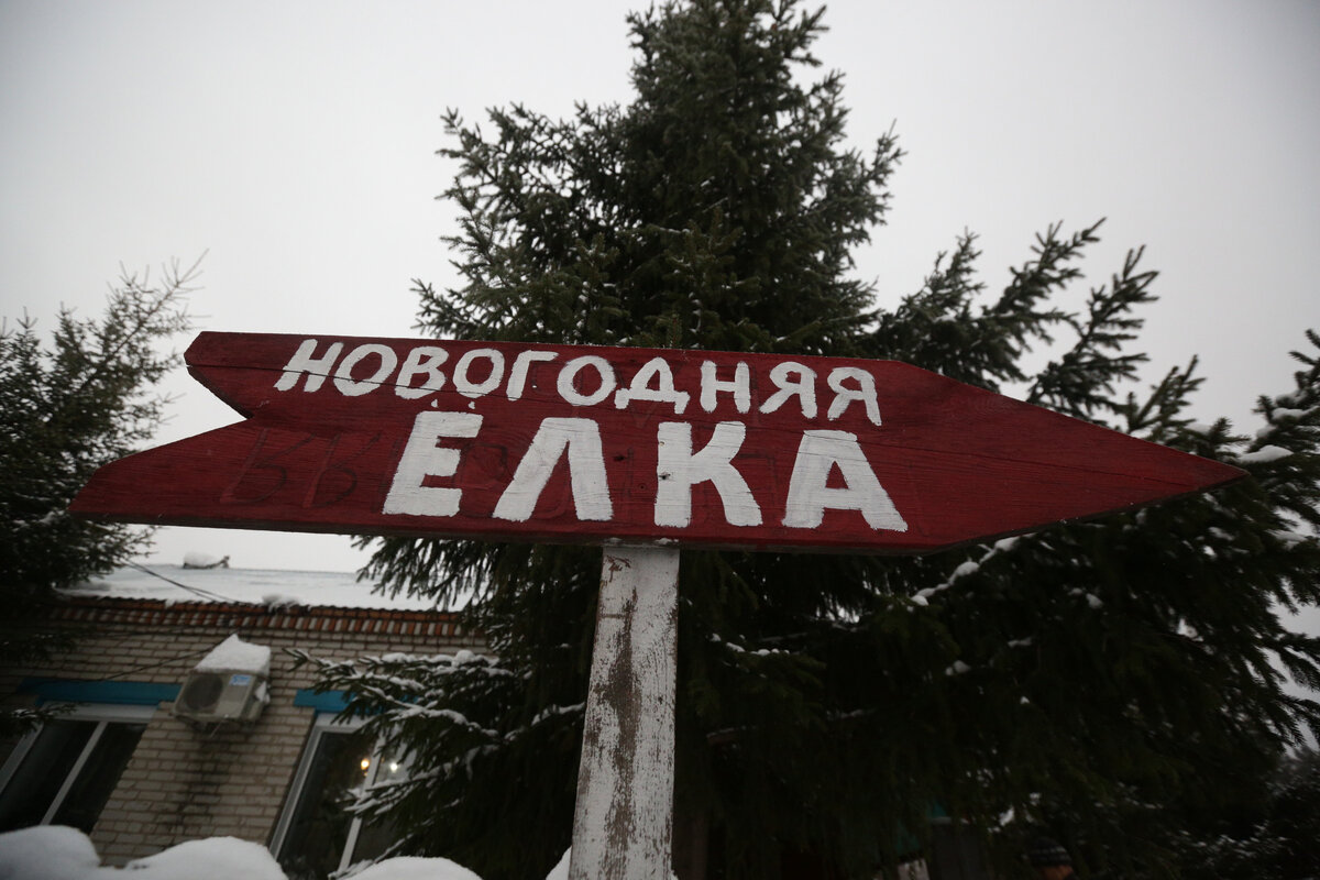 Фото: Ростислав Нетисов, nsknews.info