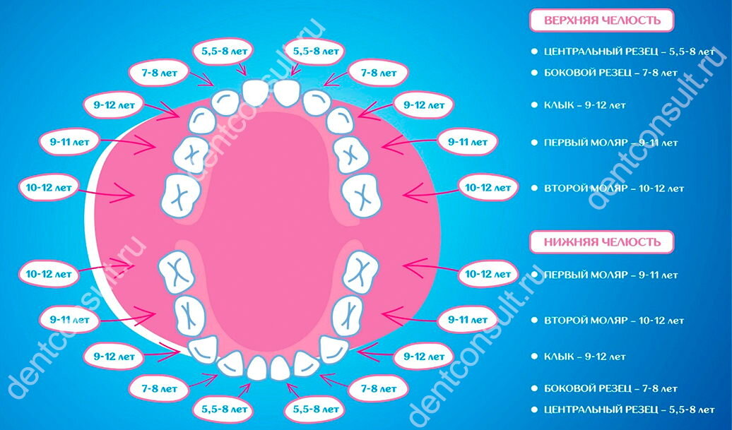 Молочные зубы у детей